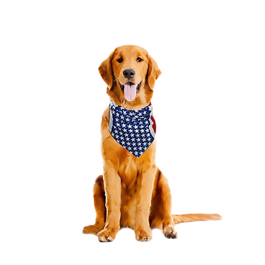 American Flag Bandana for Pets (2-Pack)