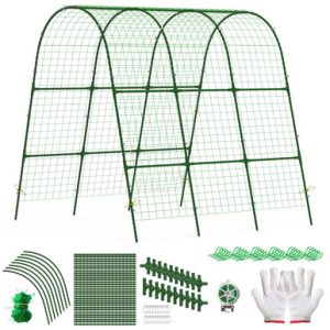 Garden Arch Trellis for Raised Garden Beds