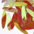 How Do Ornament Accessories Enhance Holiday Decor?