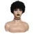 Afro Short Curly Wigs for Women