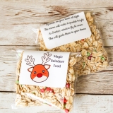 Where should you place the Magic Santa Key Banner and Reindeer Food – reindeer food on Christmas Eve?